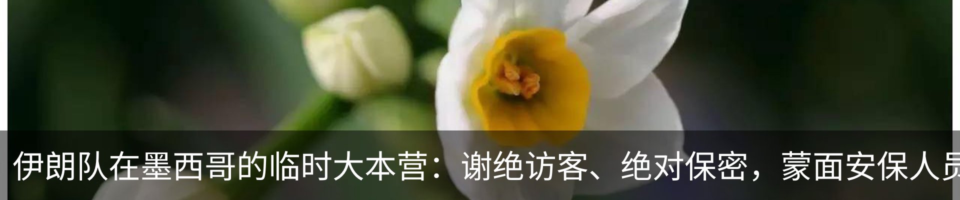 行业资讯